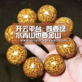 开云平台-既要绿水青山也要金山银山,怎么办?(图1) 开元棋牌