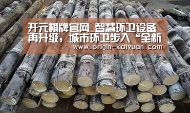 开元棋牌官网_智慧环卫设备再升级,城市环卫步入“全新时代”(图1) 开云平台