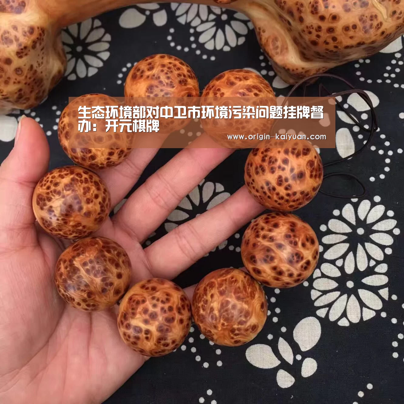 生态环境部对中卫市环境污染问题挂牌督办:开元棋牌(图1) 开云平台